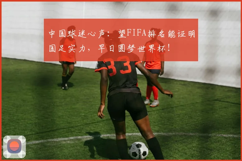 中国球迷心声：望FIFA排名能证明国足实力，早日圆梦世界杯！