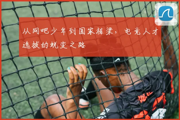 从网吧少年到国家栋梁，电竞人才选拔的蜕变之路